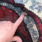 None Funky Victorian Gothic Velvet Costume! Photo 10