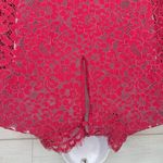 J.Crew NWOT Scalloped Eyelet Lace Mock Neck Fringe Hem Blouse in Pink Size 14 Photo 4