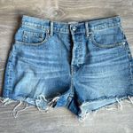 Everlane The Cheeky Denim Short Photo 1