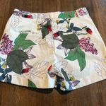 OVI NWT  Shorts - Size M Photo 1