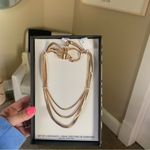 House of Harlow 1960 14”+3” Gold Layered Snake Necklace Photo 1