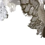 Cupcakes and Cashmere Sunset Pointed Lace Off the Shoulder Crop Top White Small Photo 5