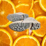 Timberland  Ankle Boots Waterproof‎ Anti-Fatigue Green Leather Women's 9 Photo 2