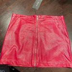 Boutique Faux Leather Skirt Photo 0