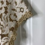 Sundance Sz S Dress Lace Fit & Flare Catalog Romantic Coquette Dainty Victorian Photo 7