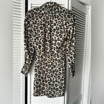 ZARA  : Leopard Dress Photo 1