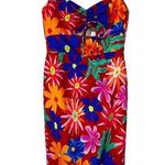 PatBO Aster Fringe Trim Floral Midi Sheath Dress Sz 6 Photo 0