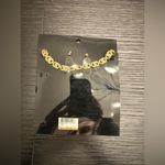 Bijoux Terner NWT  Gold Chain Link Necklace and Earrings Jewelry Set Chunky Photo 4