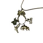 Unique Vintage Rare Vintage Texicana Pride Charm Necklace Western Southern Long Gold Chain Photo 1