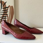 Aquatalia Pasha Croc Embossed Pointed Toe Pump Red Size 12 Photo 1