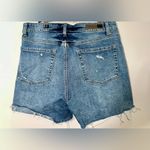 Treasure & Bond EUC  Foster Boyfriend Buttonfly Raw Hem Shorts - 30 Photo 1