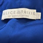 Alice & Trixie  by Angela George woman size SMALL dress silk lining blue & pink Photo 6