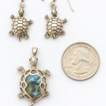 None Sterling Silver 925 Turtle Earrings and Abalone Turtle pendant Photo 0