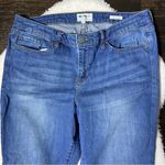 William Rast Ankle Skinny Raw Hem Grommet Jeans Photo 1