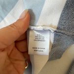 superdown Aritzia Striped Blue and White Long Sleeve Top Photo 7