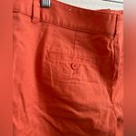 Ann Taylor LOFT Summer Shorts Photo 5