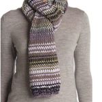 Frye & Co. Degrade Striped Knit Scarf #31 Photo 0