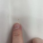 Tahari Plus 2X Top Ivory Black Lace Detail Blouse V-Neck Pleats Jumper Women's Photo 7