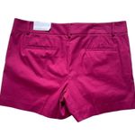 Ann Taylor Women’s The Metro Short Size 16P Cotton Mid-rise Classic Casual Photo 3