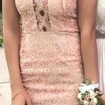 Beginning Boutique Pink Laced Embroidered Tight Halter Formal Dress Photo 0