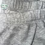Aerie Grey  Sweatpants Photo 1