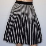 Anthropologie Maeve Womens Remy Black White Striped A-Line Pleated Skirt Size 12 Photo 0