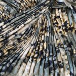 Tadashi Shoji silk blouse Photo 1