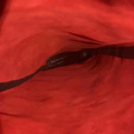 PALOMA BARCELO Serafine Over Photo 6