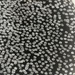 Koral  Sports Bra Black Gray Padded Sz small RACERBACK Athletic Athleisure  Photo 6