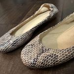 Stuart Weitzman Women's  Snakeskin Ballet Flats Shoes Sz 7 M Photo 1