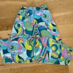 Show Me Your Mumu - Irwin Pants in Go Go Luxe Satin Multicolor Photo 3