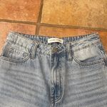 Vervet Flying Monkey Dad Jean Photo 1