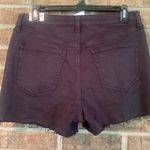 PINK - Victoria's Secret - NWT black PINK shorts size 29 Photo 1