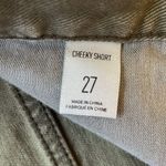 Urban Outfitters BGD Cheeky Short Photo 6