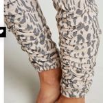 Chaser  RPET LOVE RIB SHIRRED JOGGER Animal Print Medium Photo 6