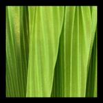 SheIn fluorescent green skirt with tie-up top. Size small. Photo 6