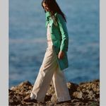 J.Crew Pleated capeside chino pants BP502 trousers in Light Khaki Size 14 Photo 3