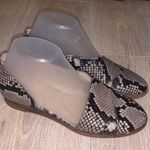 1. State  snake skin leather open side formal flats Photo 0