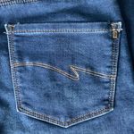 Lee  Straight Leg Curvy Fit Jeans Size 6 Short Photo 4