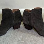 Frye & Co. suede double zip holly ankle booties olive green brown size 9.5 Photo 3