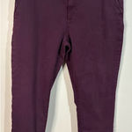 Pistola  Womens Cuffed Straight Jeans Plus Size 16W Photo 0