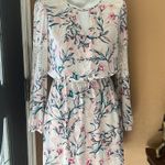 EXPRESS  light pink floral long sleeve dress Photo 0