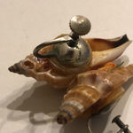 Vintage Conch Shell Tiny Colorful Shells Screw Back Clip On Earrings Photo 3