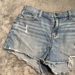 Aerie  Jean shorts medium Photo 1