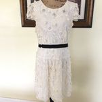 BCBG Maxazria Dress Photo 3