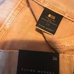 Vervet Flying Monkey‎ Citrus Garden Tan Skinny Jeans Women's Size 26 Photo 2