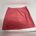 Daniel Cremieux Cremieux mini skirt size 14 Photo 3