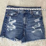 American Eagle America Eagle Denim Mom Short Photo 2