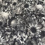 Lululemon  Run: Inspire Crop II *All Luxtreme Flowabunga Black Angel Wing Legging Photo 10