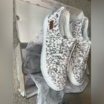 blowfish  Gray Leopard Paper Cat Canvas No Lace Grommet Tennis Shoes Size 8.5 NEW Photo 1